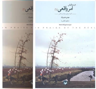 مجموعه فلسفه استنفورد(5)زیباییشناسی(ققنوس)