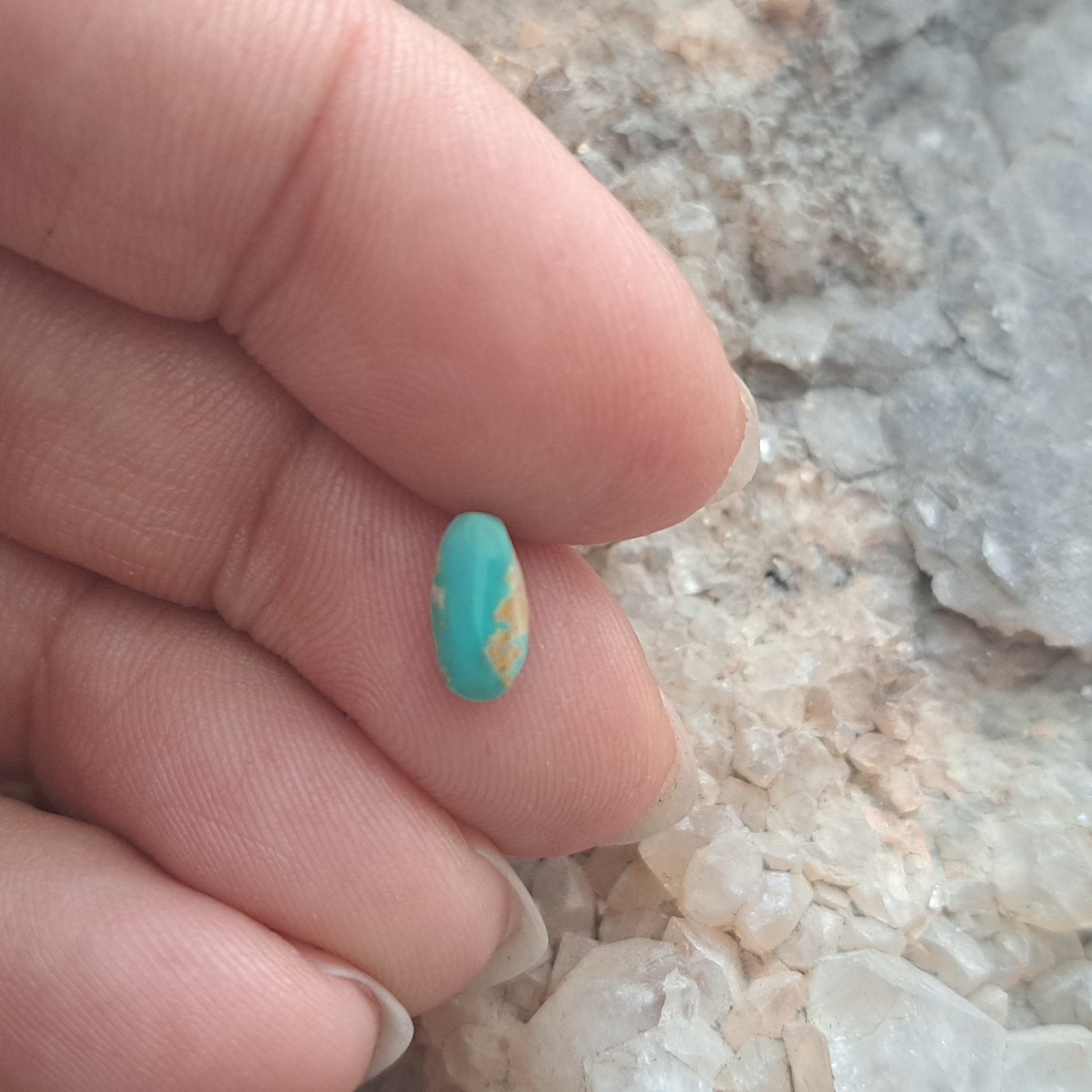 نگین فیروزه کد 317