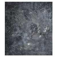 بک دراپ Backdrop کد B205