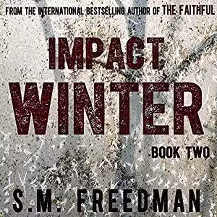 بازی کامپیوتر Impact Winter v2