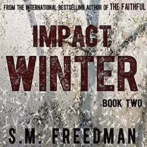 بازی کامپیوتر Impact Winter v2