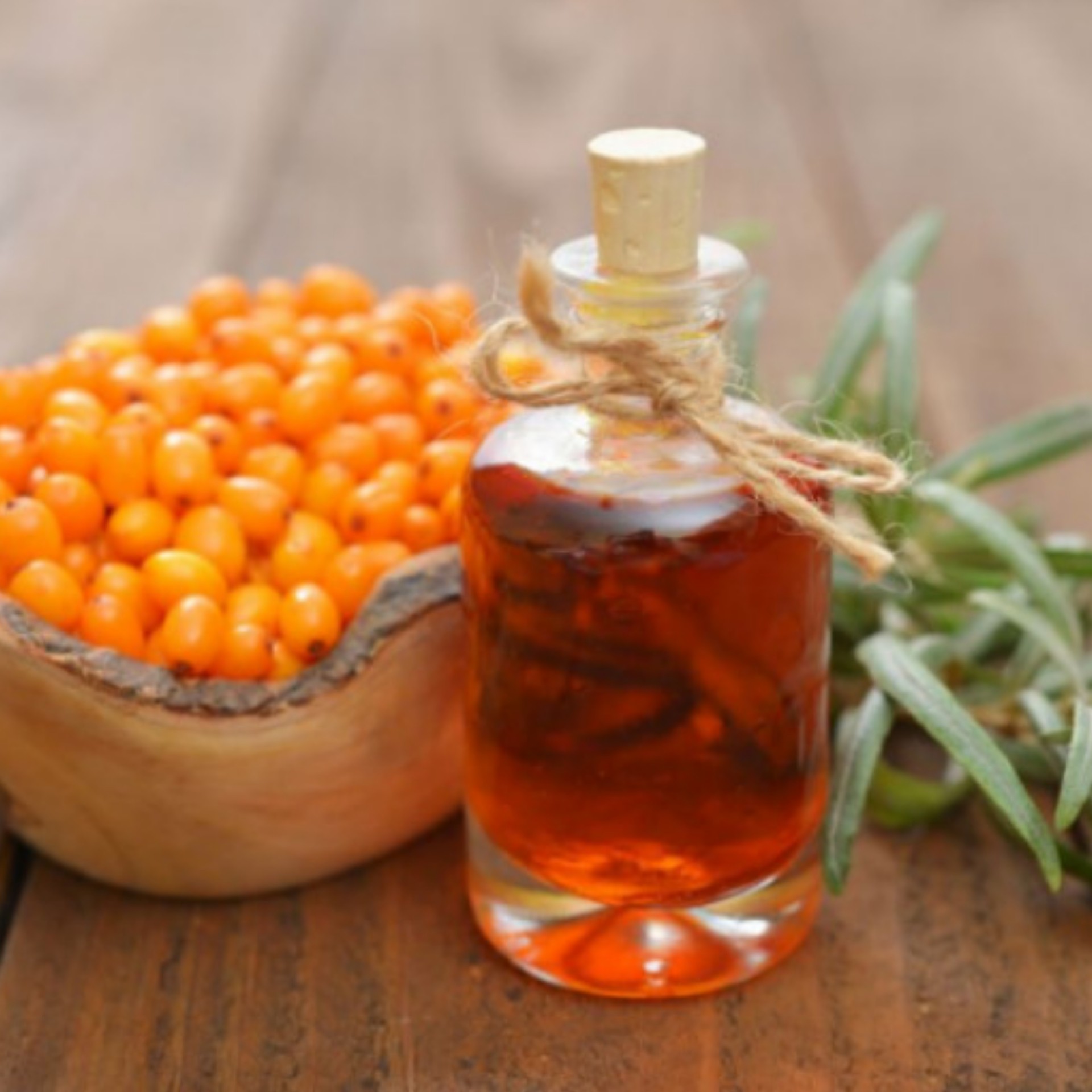 روغن سنجد 30 سی سی