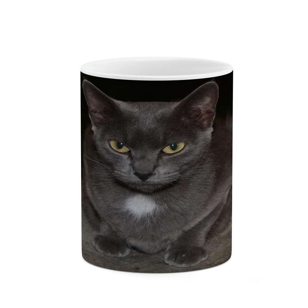 ماگ کاکتی طرح گربه مدل mgs14654