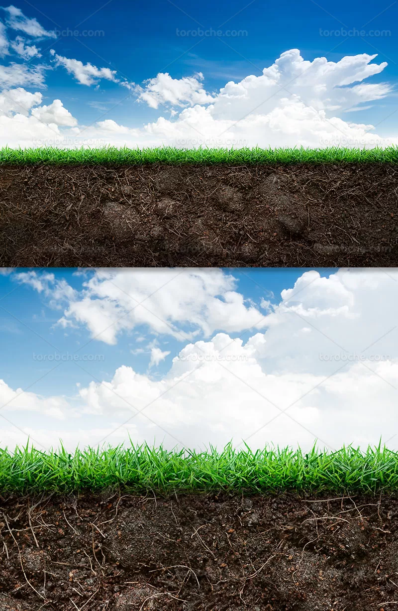 عکس با کیفیت خاک | گرافیک با طعم تربچه