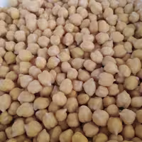 فلافل نیمه آماده خانگی اطمینان