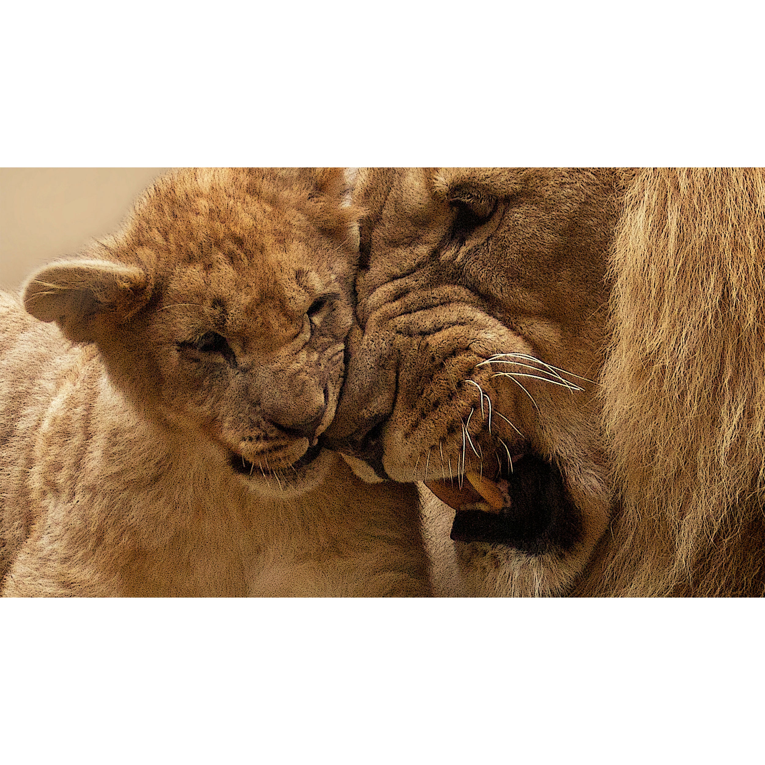 تابلو شاسی طرح شیر مدل T7657