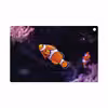 برچسب پوششی ماهوت مدل Clownfish مناسب برای تبلت سونی Xperia Tablet Z LTE 2013
