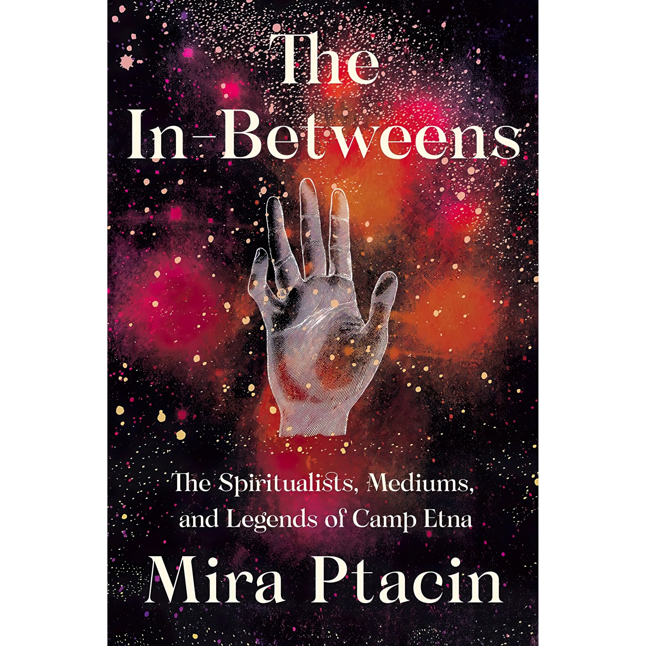 کتاب The In-Betweens اثر Mira Ptacin انتشارات Liveright
