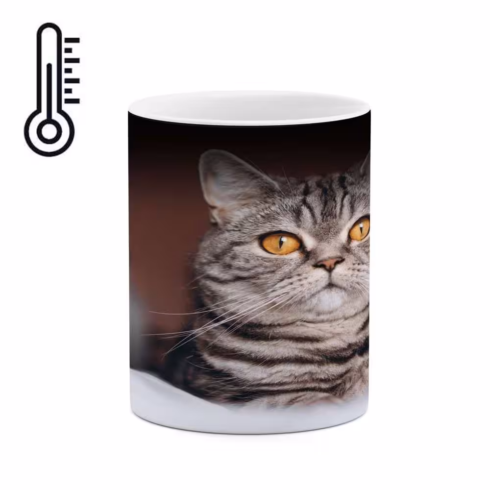 ماگ حرارتی کاکتی طرح گربه مدل mgh16721