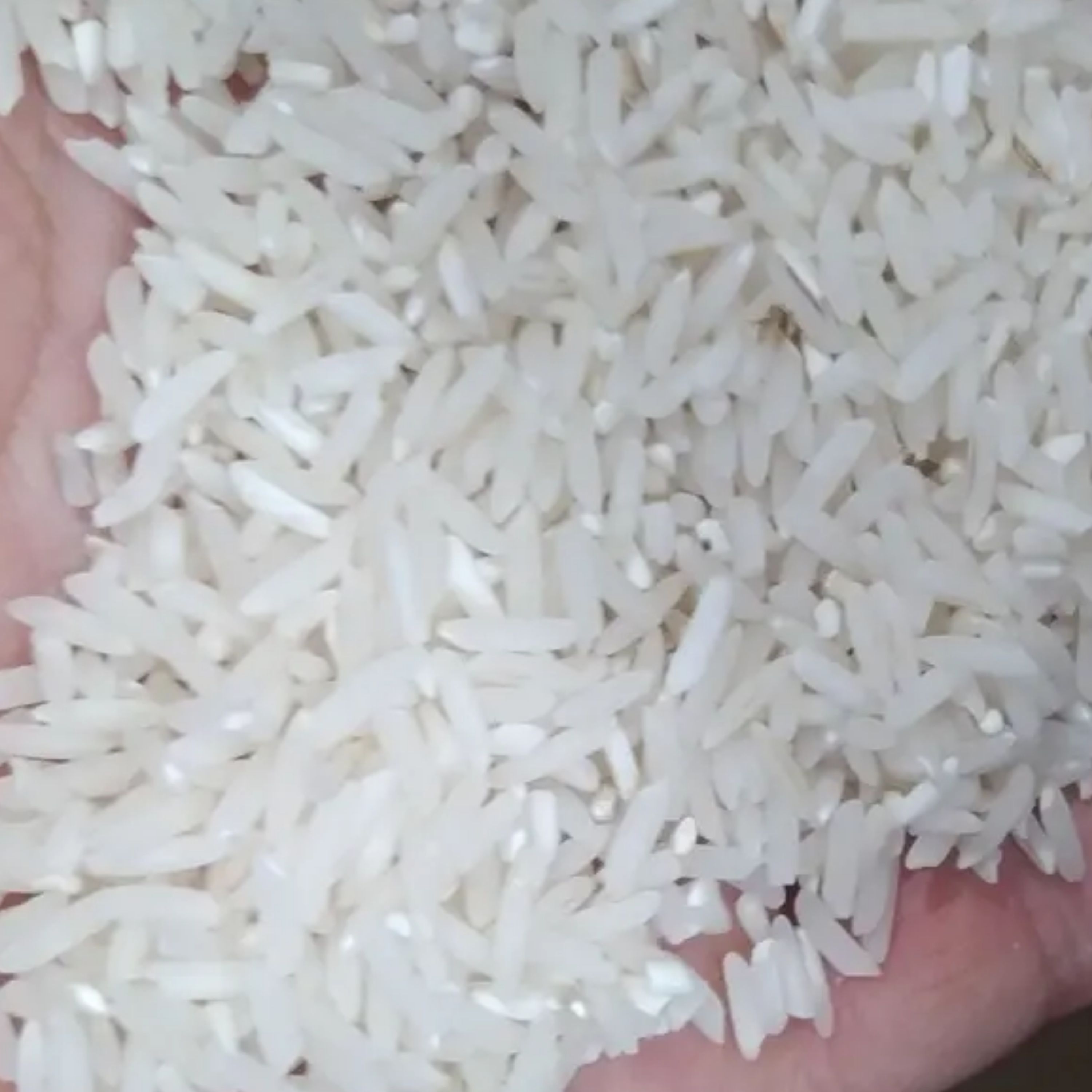 برنج ندا