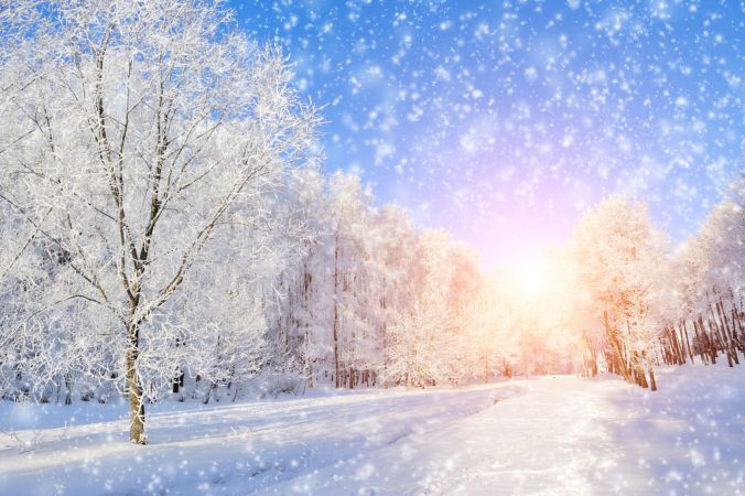 خرید و دانلود عکس Nature-Part-24 کد 36227 | پیک فاکس | Pic Fox