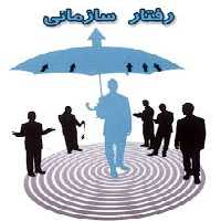 دانلود پاورپوینت رفتار در سازمانها Power Point