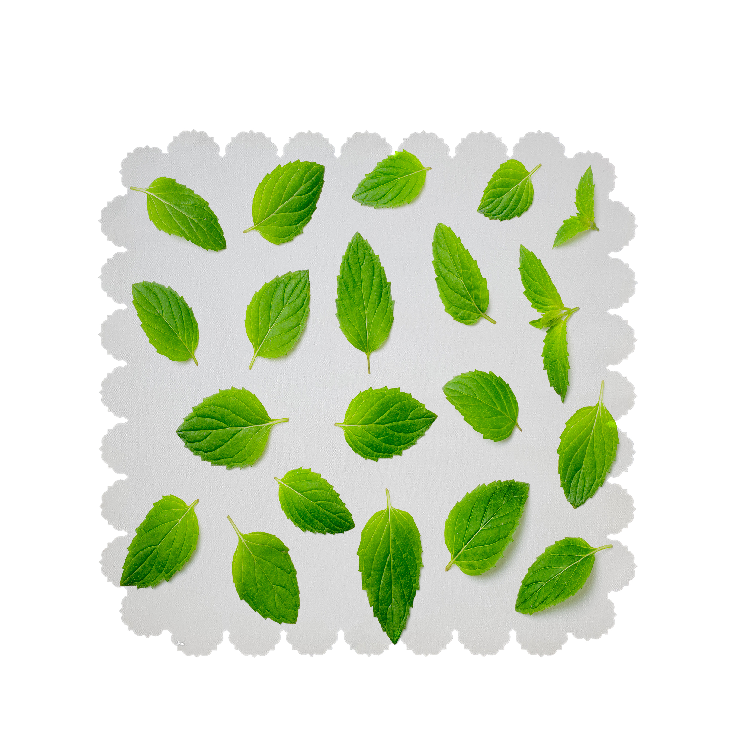 رومیزی  طرح  نعنا کد 6303B