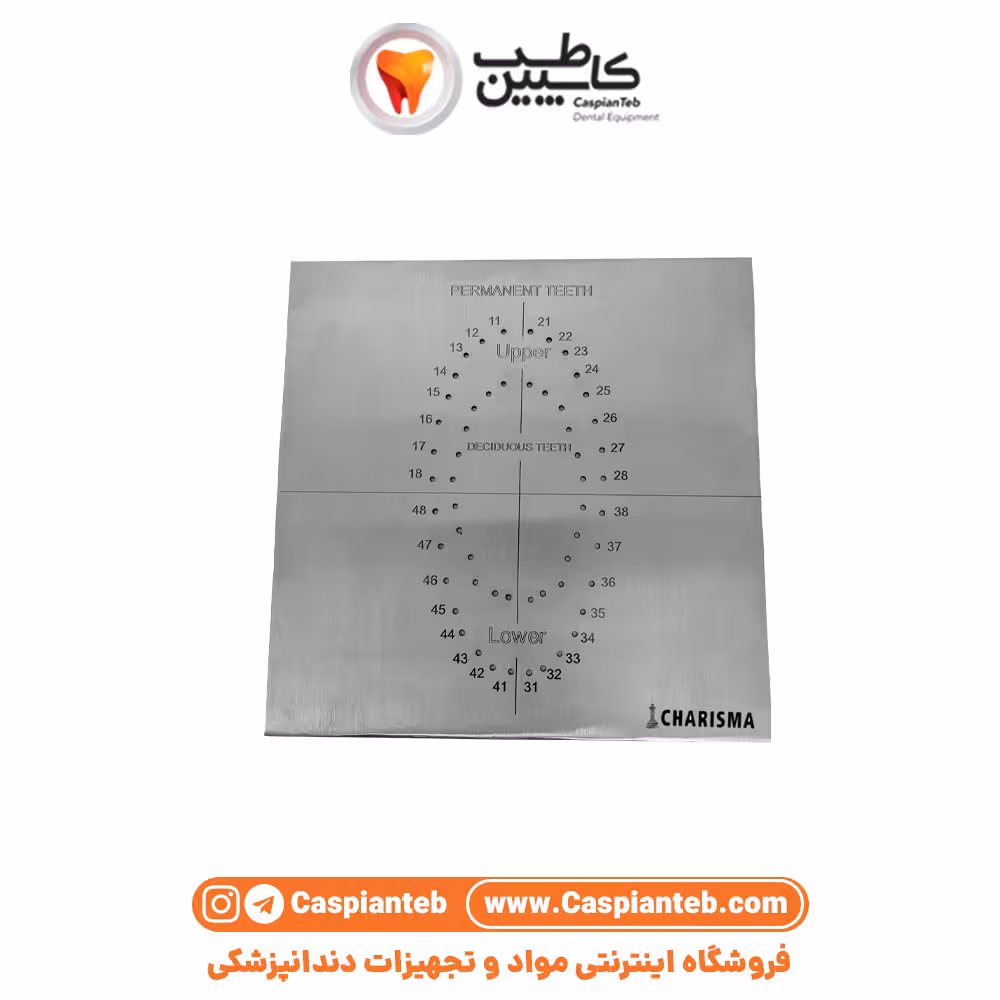 مشخصات، قیمت و خرید تمپلیت رابردم کاریزما