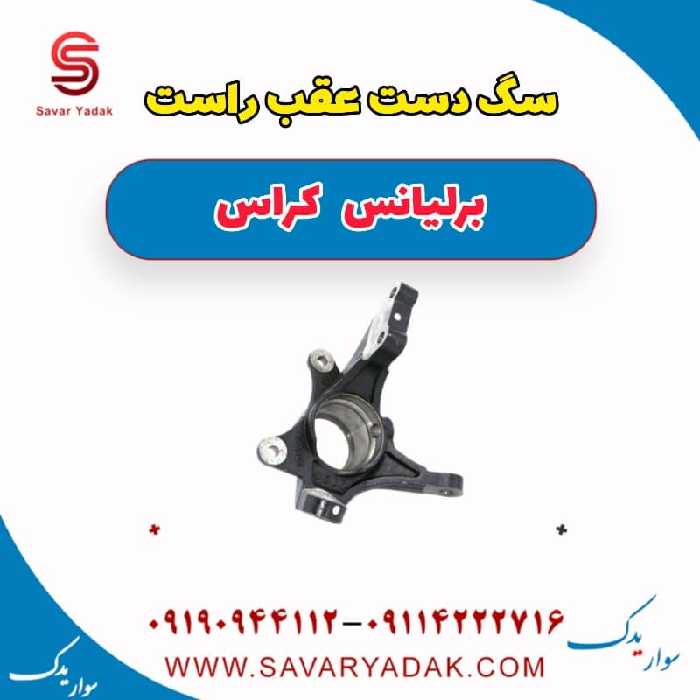سگ دست عقب راست برلیانس کراس