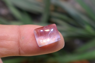 امتیست دامله(کاپوشی)