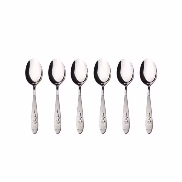 قاشق چای خوری 6 پارچه اسپرینگ هوم مدل میخک کد 216676