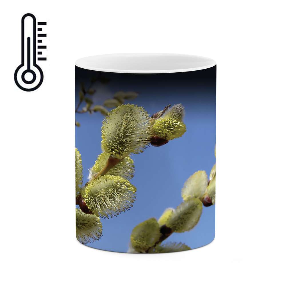 ماگ حرارتی طرح گل مدل mgh01781