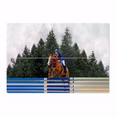 برچسب پوششی ماهوت مدل Equestrianism مناسب برای تبلت مایکروسافت Surface Pro 3 2014
