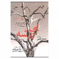 کتاب بی ریشه اثر جمعی از نویسندگان انتشارات پنجره