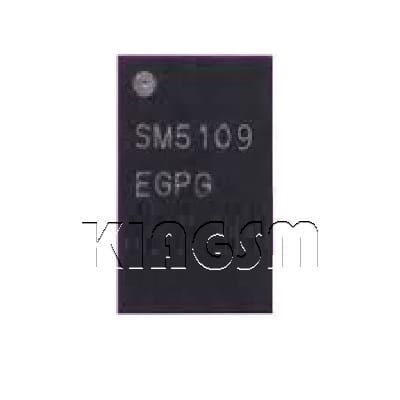 آی سی تصویر SM5109