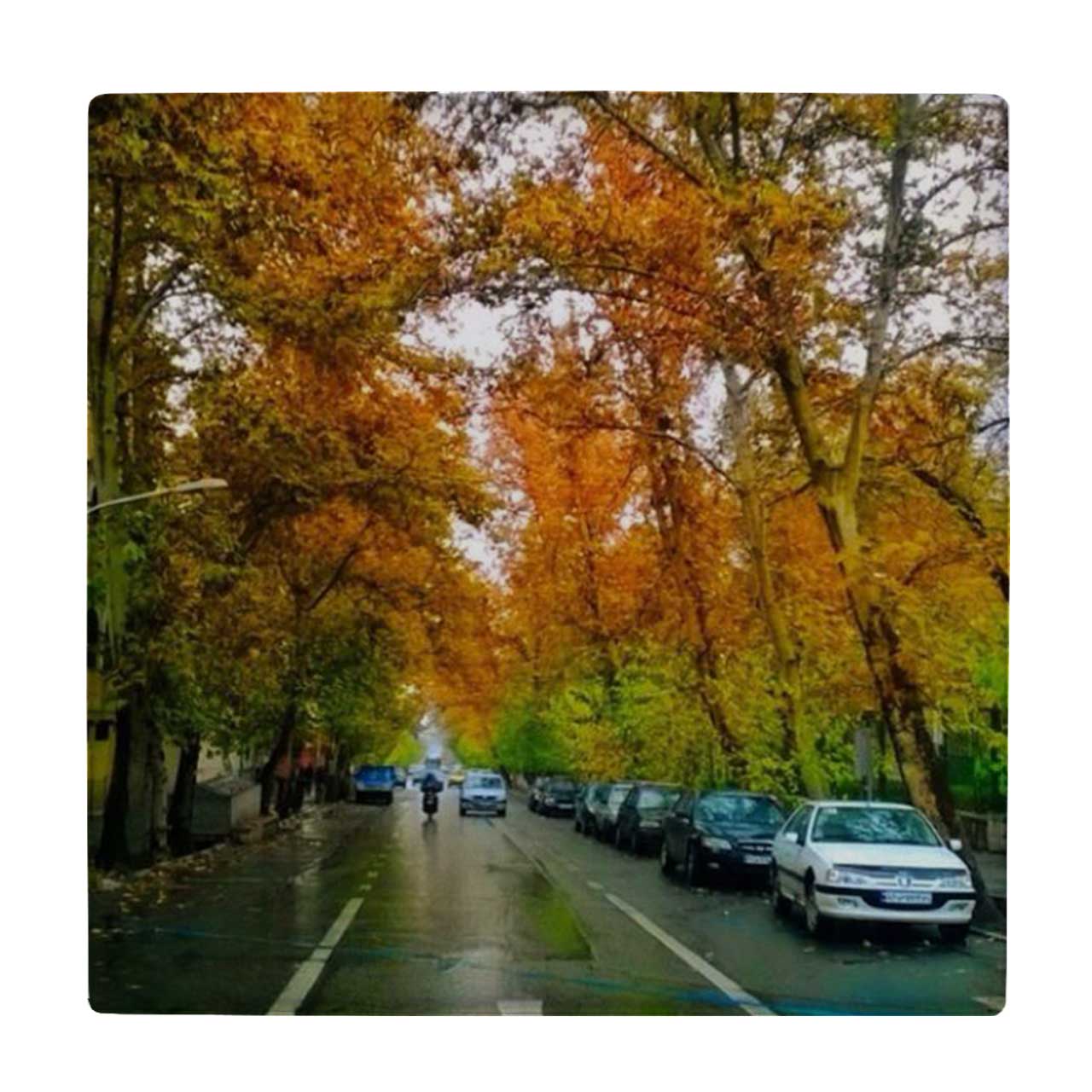  کاشی کارنیلا طرح جاده پاییزی کد wk4554