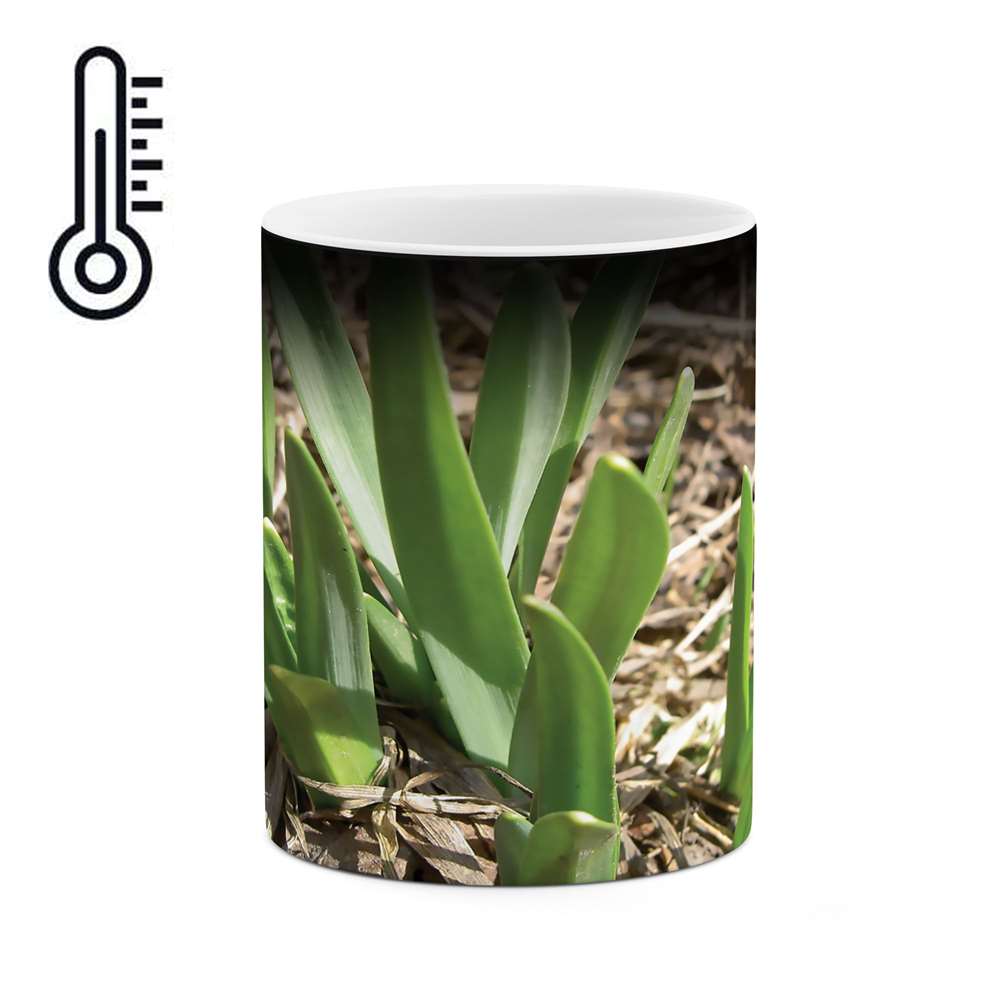 ماگ حرارتی طرح گیاه مدل mgh02316