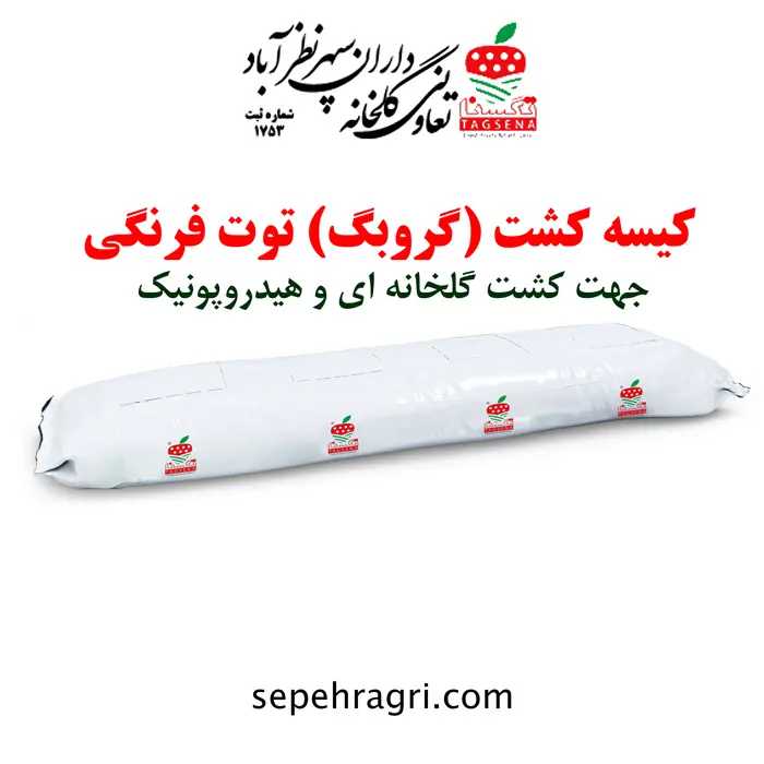 گروبگ یا کیسه کشت توت فرنگی | خرید و قیمت گروبگ توت فرنگی