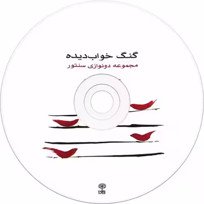 کتاب گنگ خواب دیده اثر علی بهرامی فرد انتشارات ماهور