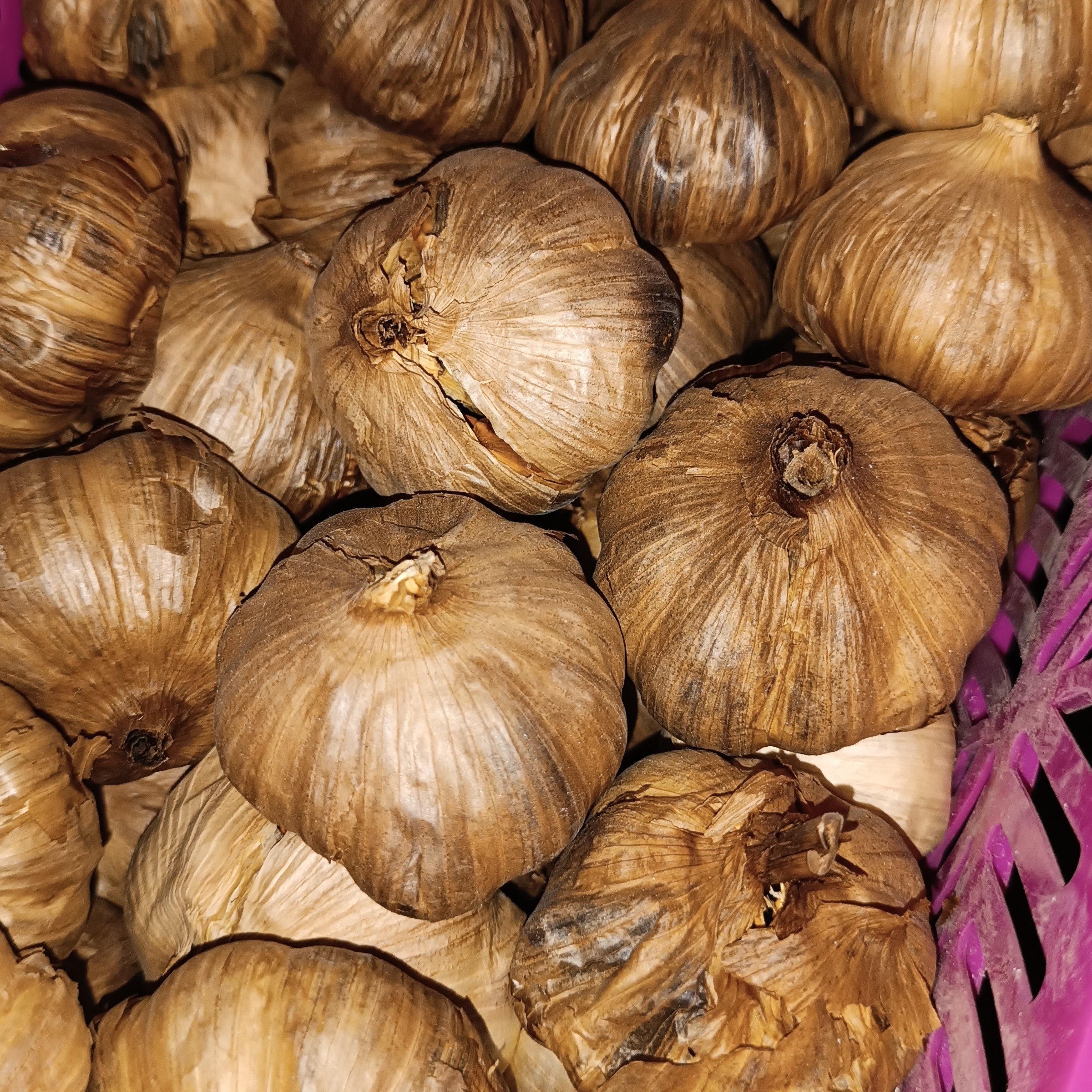 سیر سیاه عمده صادراتی