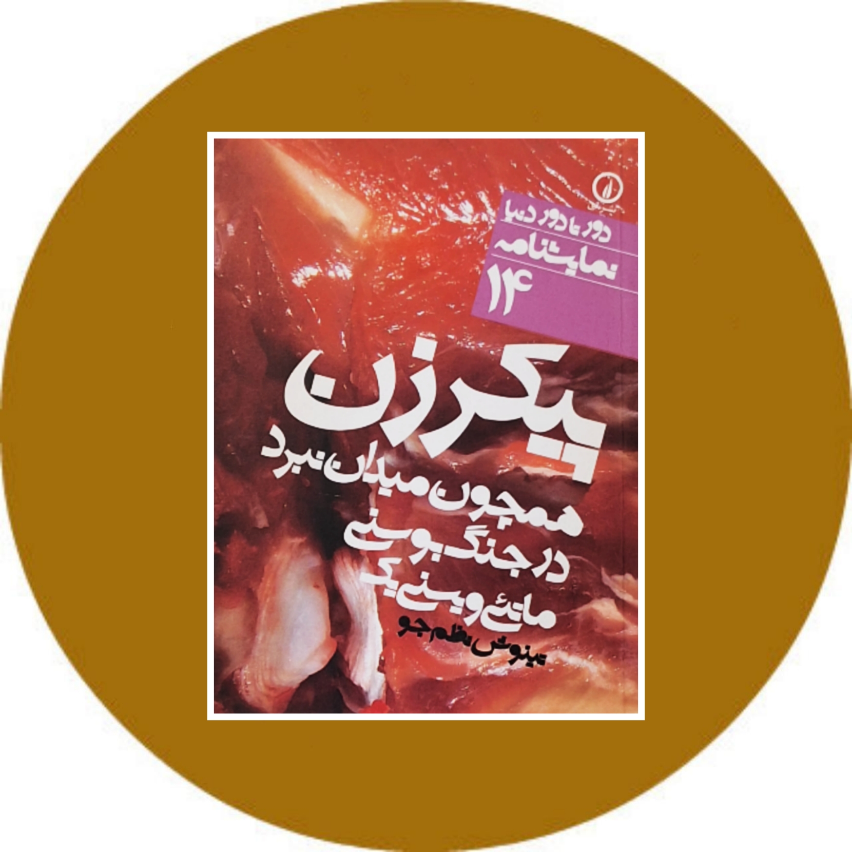 کتاب پیکر زن همچون میدان نبرد در جنگ بوسنی - خرید ازکتاب دایره قهوه ای