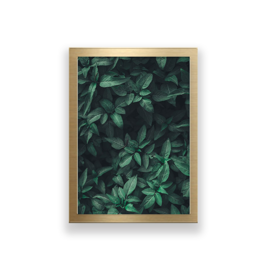 تابلو طرح برگ 