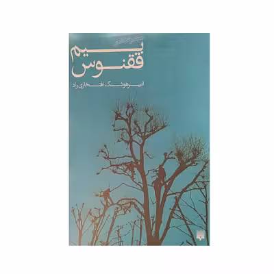کتاب بیم ققنوس اثرامیرهوشنگ افتخاری راد نشر پیدایش