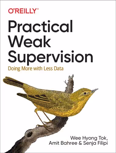 خرید و دانلود نسخه کامل کتاب Practical Weak Supervision: Doing More with Less Data