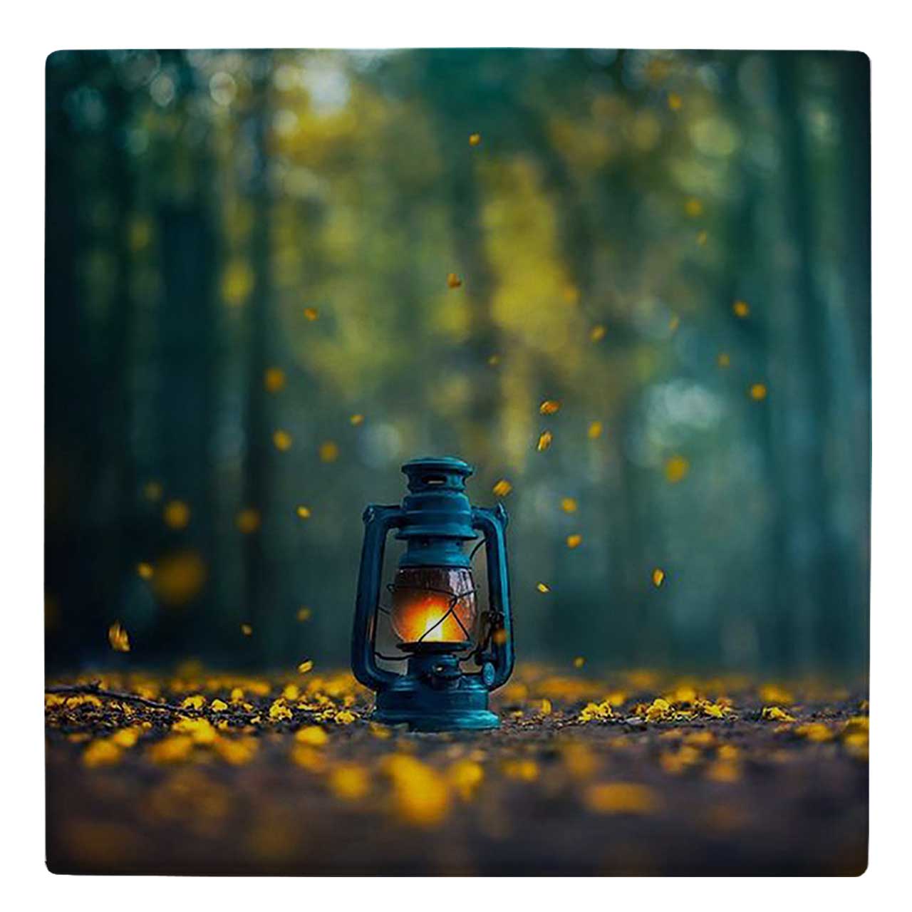  کاشی کارنیلا طرح فانوس در جنگل کد wk304