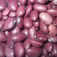 لوبیا قرمز ممتاز بسته بندی2 کیلوگرمی شالیزارصادق 