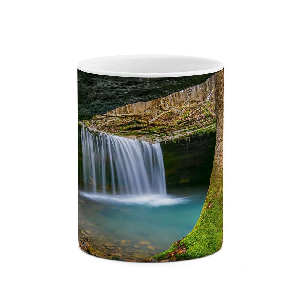 ماگ کاکتی طرح منظره مدل mgs13230