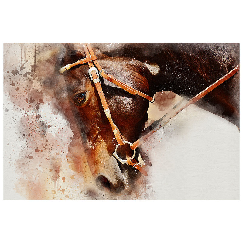 تابلو شاسی رویامد طرح اسب | دنیای قاب
