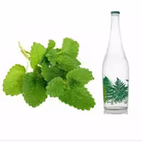 عرق بادرنجبویه (1 لیتری ) کارون