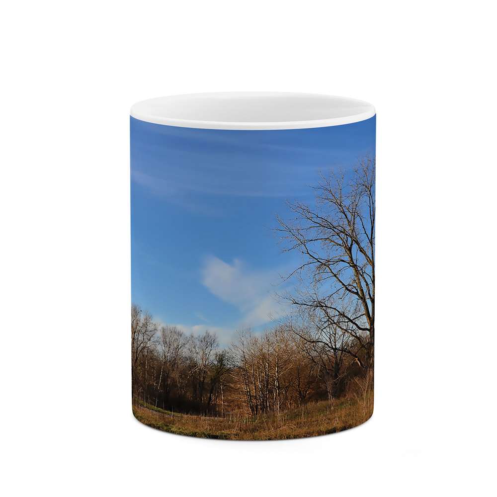 ماگ طرح طبیعت مدل mgs05694