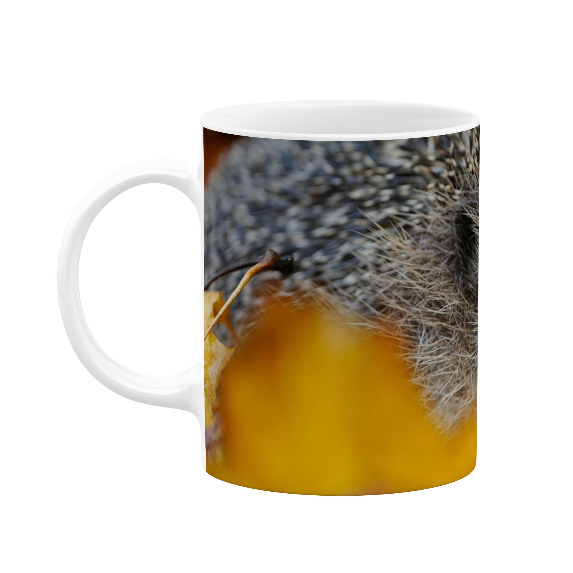 ماگ طرح جوجه تیغی مدل mgp01521