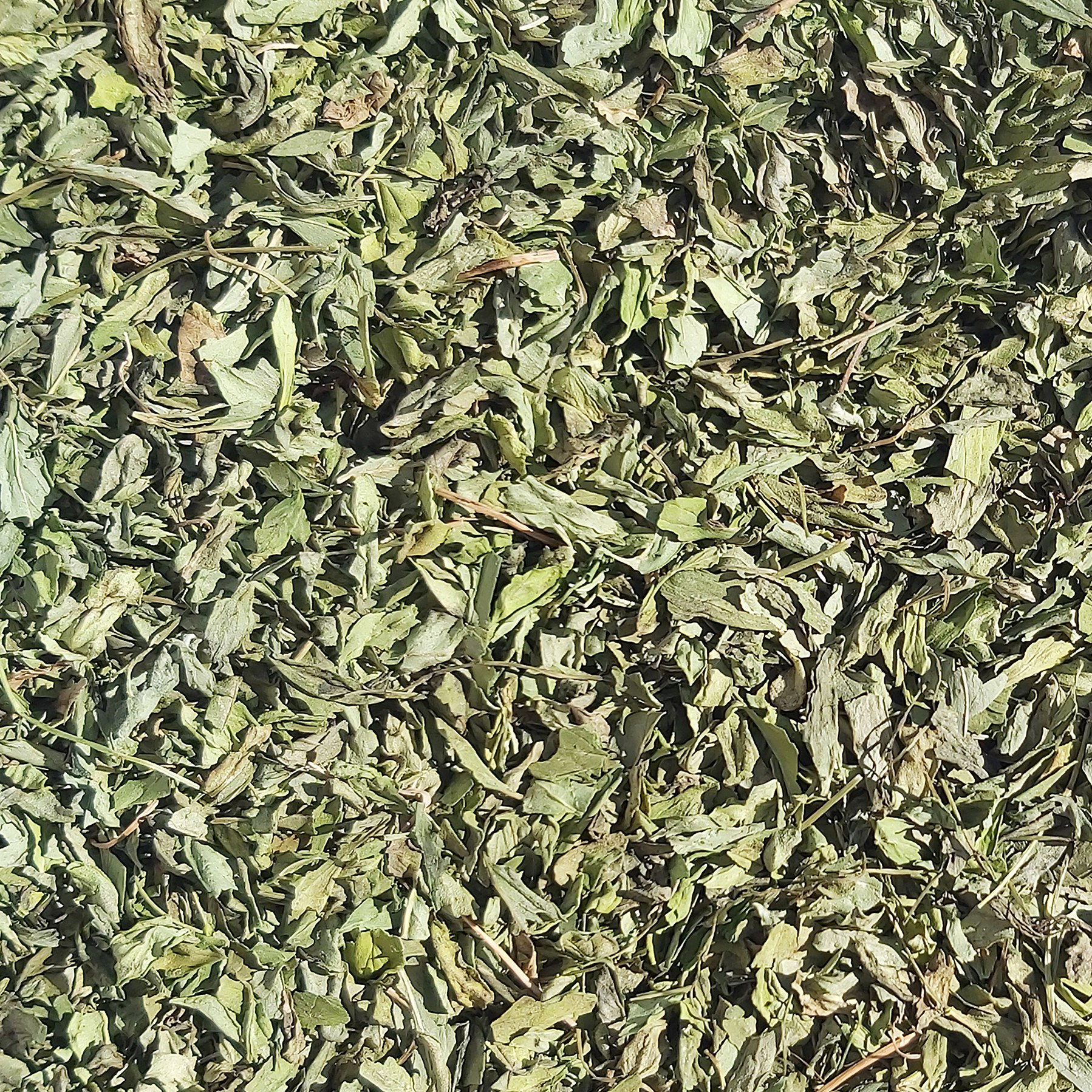 سبزی خشک نعناع  - (فله 2 کیلویی) - محصولی از برند صادراتی فردوس ناب