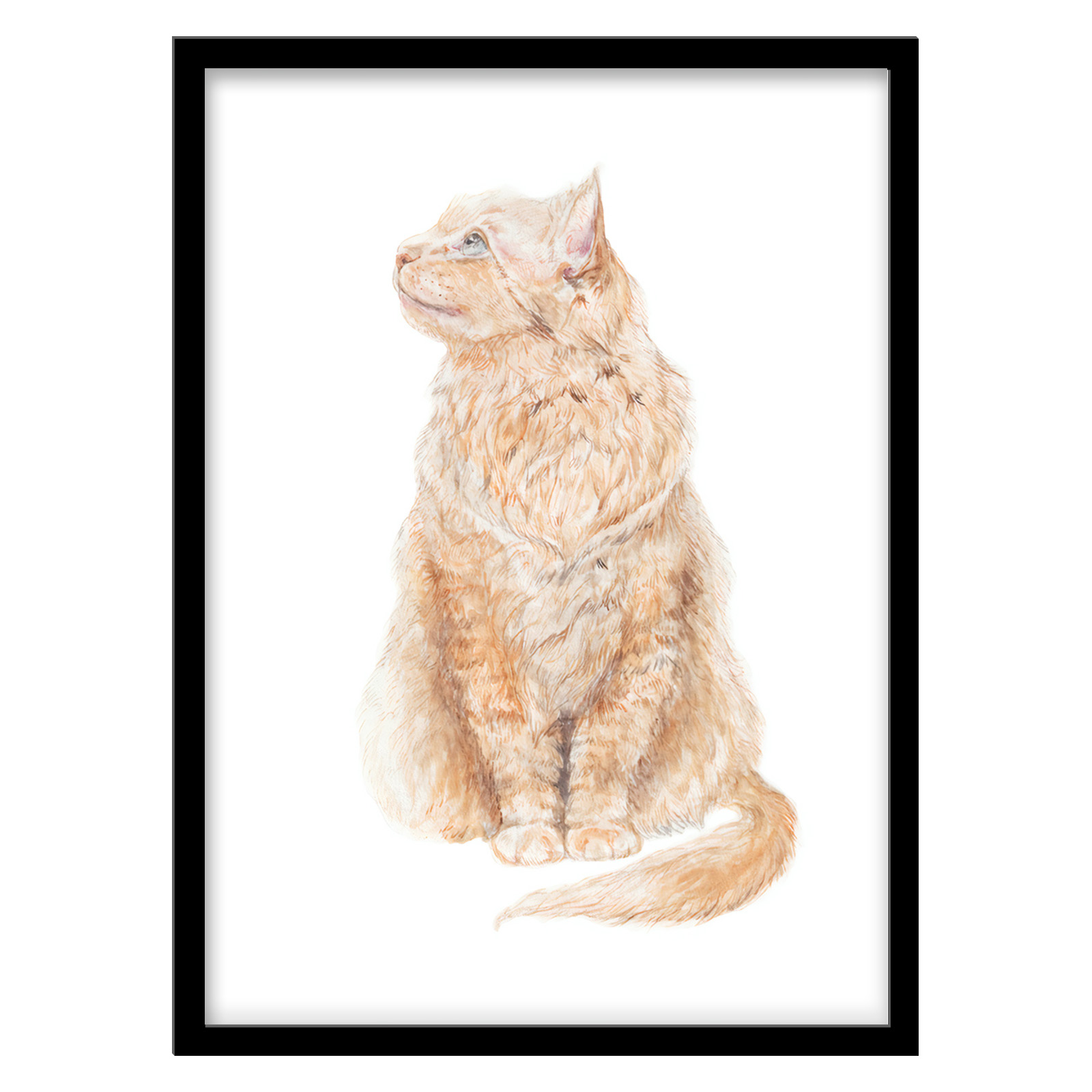 تابلو فورنیمو مدل نقاشی ایلوستریشن آرت گربه کد 03199B