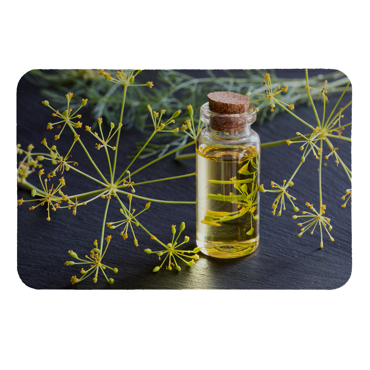 رطوبت گیر کنار سینک کد 6310