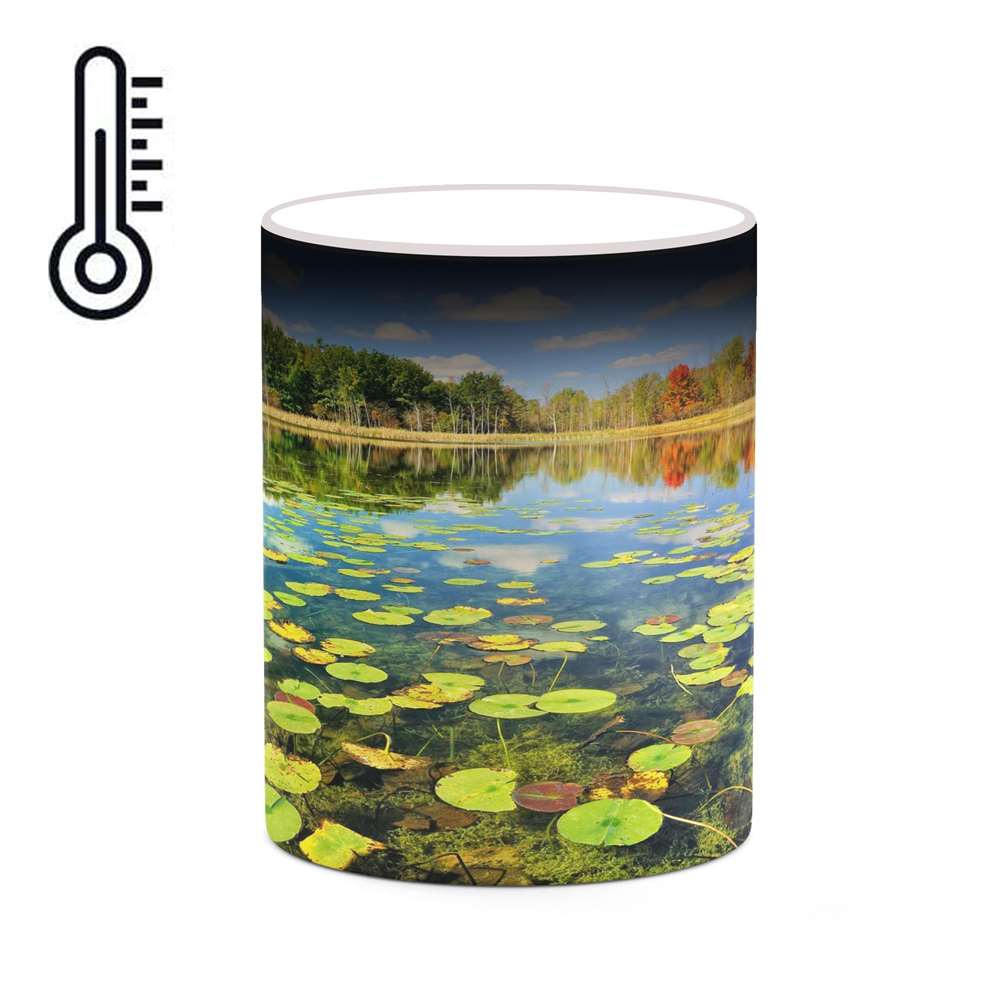 ماگ حرارتی کاکتی طرح منظره مدل mgh18297