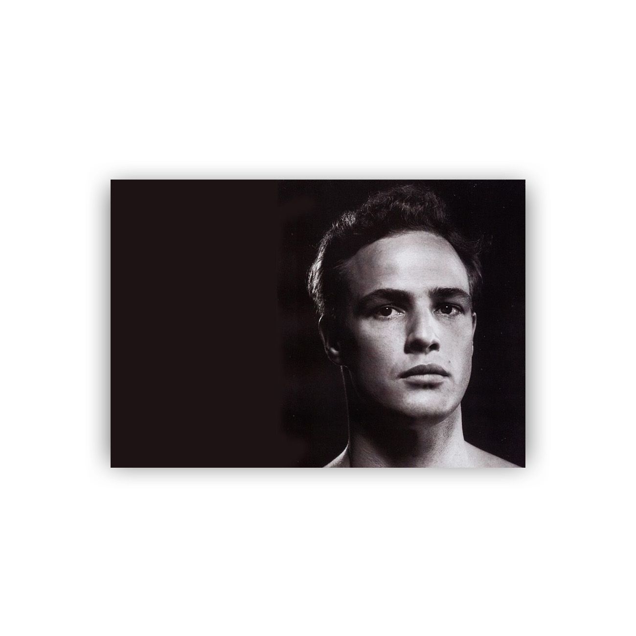 تابلو شاسی طرح مارلون براندو مدل BS00639