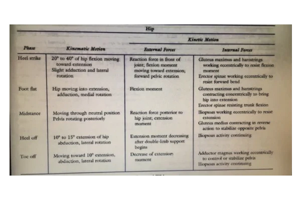 جزوه: آنالیز گام برداشتن 🖊ارسالی اعضا 🏛 دانشگاه آزاد - کتابخانه مجازی واتیکان