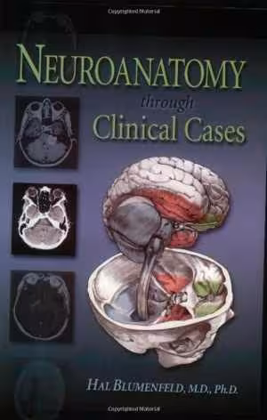 [PDF] دانلود کتاب Neuroanatomy Through Clinical Cases, 2002