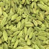 رازیانه سبز ممتاز فدک (200گرم)