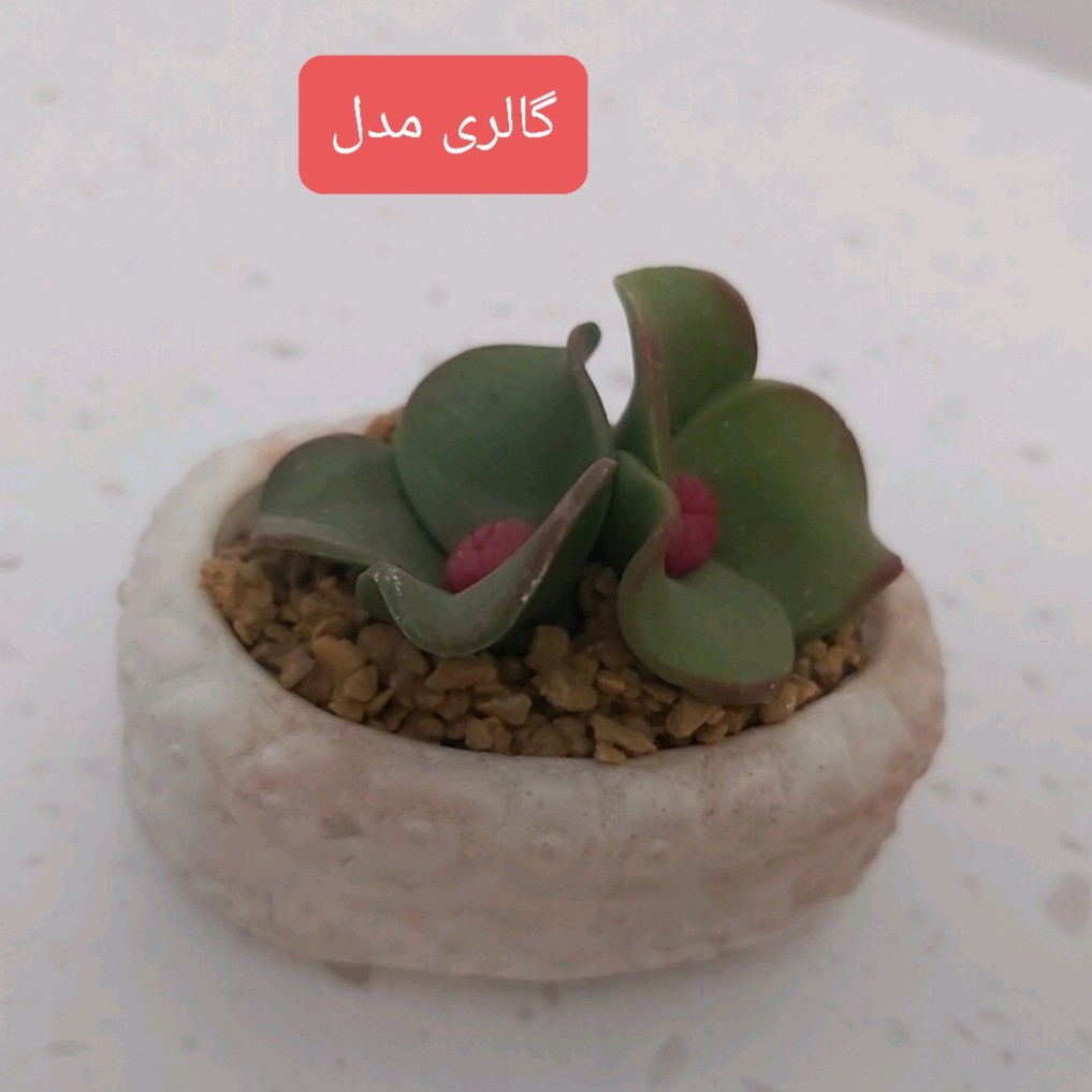 گل رومیزی کوچک مصنوعی مینیاتوری سرامیکی C1فروشگاه گالری مدل